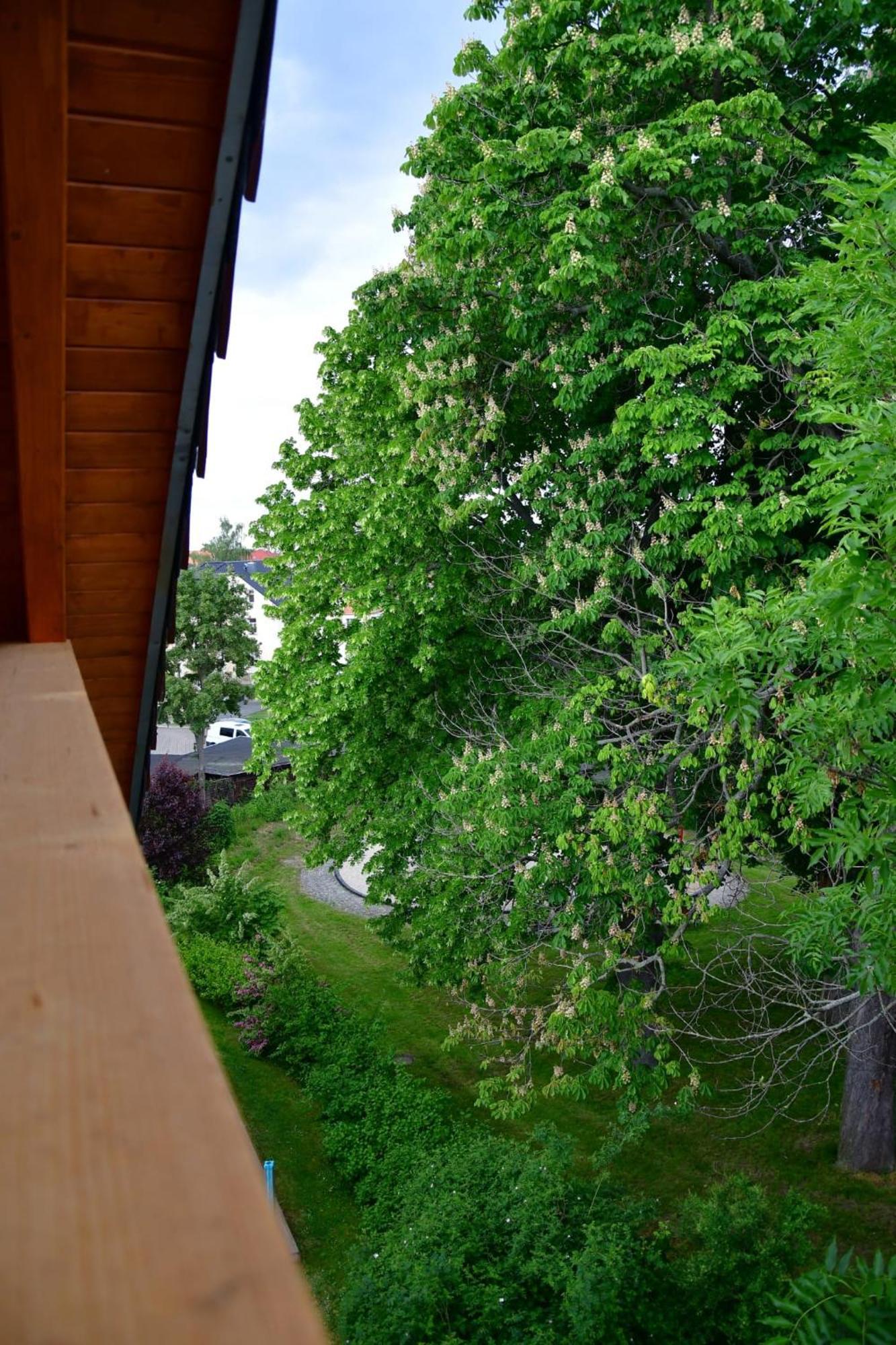 Apartmán Domizil Eutschuetzgruen Bannewitz Exteriér fotografie